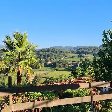 Fernandes Guest House&Bungalows Ponte de Lima