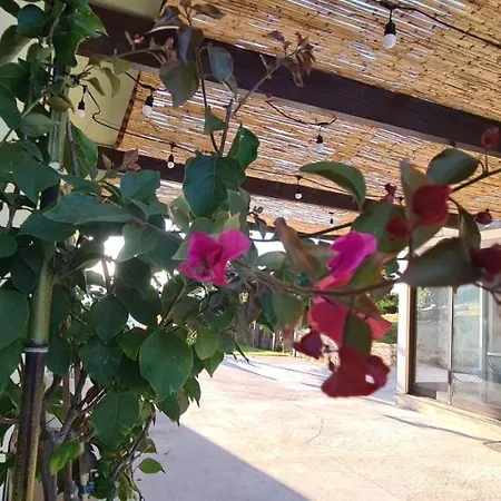 Fernandes Guest House&Bungalows * Ponte de Lima