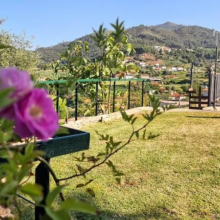 Fernandes Guest House&Bungalows